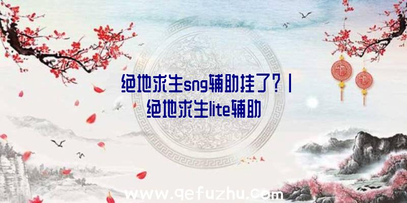 「绝地求生sng辅助挂了？」|绝地求生lite辅助